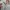 Levi's Biker Casual Jeans Pria multicolor photo 4
