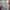Levi's Biker Casual Jeans Pria multicolor photo 5