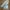 Levi's Biker Casual Jeans Pria multicolor photo 2
