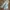 Levi's Biker Casual Jeans Pria Multicolor