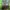 Nike Y2K Sportswear Jersey Pria green navy photo 5