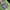 Nike Y2K Sportswear Jersey Pria green navy photo 2