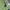Nike Y2K Sportswear Jersey Pria green navy photo 4