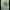 Nike Y2K Sportswear Jersey Pria green navy photo 1