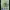 Nike Y2K Sportswear Jersey Pria Green Navy
