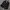 Calvin Klein Luxury Suit Pria black photo 2