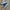 Adidas Casual Sneakers Wanita blue photo 1