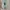 Adidas Casual Sneakers Pria multicolor photo 5