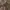 Casual Hoody Pria brown photo 2