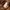 Casual Hoody Pria brown photo 4