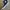 Converse Casual Sneakers Pria white black photo 2