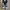 Converse Casual Sneakers Pria white black photo 3