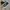 Converse Casual Sneakers Pria white black photo 1