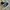 Converse Casual Sneakers Pria White Black