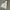 Uniqlo Casual Hoody Pria gray photo 1