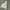 Uniqlo Casual Hoody Pria Gray