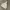 Casual Hoody Pria gray photo 1
