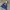 Estacot Casual Hoody Pria gray blue photo 1