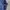 Back Number Casual Hoody Pria navy photo 3