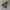 Wolsey Casual Hoody Pria gray photo 1