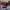 Casual Hat Pria pink photo 1