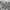 Uniqlo Casual Formal Pants Pria Gray