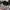 Casual Hat Pria gray photo 5