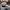 Casual Hat Pria gray photo 4
