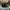 Nike Air Jordan Casual Hat Pria black photo 4