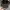 New Era Casual Hat Pria black photo 5