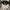 New Era Casual Hat Pria black photo 5