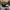 New Era Casual Hat Pria black photo 4