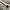 Oakley Skater Windbreaker Pria white photo 4