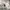 Oakley Skater Windbreaker Pria white photo 5