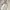 Oakley Skater Windbreaker Pria white photo 2