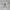 Mark Gonzales Streetwear Skater Windbreaker Pria white gray photo 2