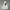 Nike Streetwear Skater Windbreaker Pria white photo 2