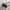 Nike Streetwear Skater Windbreaker Pria white photo 4