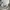 Nike Streetwear Skater Windbreaker Pria white photo 6