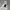 Nike Streetwear Skater Windbreaker Pria white photo 3
