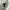 GAP Streetwear Skater Windbreaker Pria white photo 3