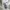 GAP Streetwear Skater Windbreaker Pria white photo 4