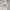GAP Streetwear Skater Windbreaker Pria white photo 2
