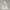 GAP Streetwear Skater Windbreaker Pria white photo 1