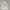GAP Streetwear Skater Windbreaker Pria White