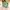 Vintage Casual Casual dress Wanita green photo 1