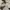 ZARA Casual Batik Formal shirt Pria multicolor white photo 3