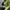 Casual Cardigan Wanita green photo 1
