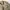 8seconds Vintage Y2K Harrington jacket Pria tan khaki photo 2