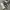 Vintage Streetwear Glass Pria white gray photo 5